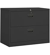 GOLINPEILO Metal 2-Drawer Filing Cabinet with Lock, Steel Lateral File Storage Cabinet for Legal/...