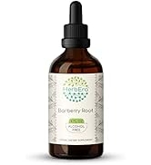 Barberry Root B120 Alcohol-Free Herbal Extract Tincture, Concentrated Liquid Drops Natural Barber...