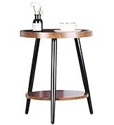 ZHANYUN 2-Tier Round Side Table, Mid Century Modern Small end Table with Storage,Metal Legs & Eco...