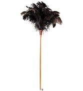 REDECKER Ostrich-Feather Duster with Waxed Beechwood Handle, 43-3/8-Inches