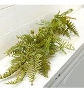 Artificial Mixed Fern Garland for Home Decor and Accenting | Faux Floral Greenery Garland for Ind...