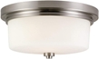 2-Light Ceiling Light