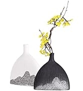 Zhanyun Black and White Ceramic Vase Set for Home Decor Farmhouse Vase Entryway Decor Pampa Grass...