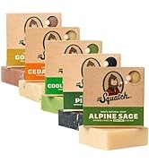 Dr. Squatch All Natural Bar Soap for Men, 5 Bar Variety Pack - Aloe, Cedar Citrus, Gold Moss, Pin...