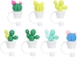 Cactus Series-7pcs