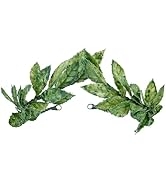 MOSTORY Handmade Green Laurel Crown - Wooland Greek Leaf Headpiece Forest Emperor Circlet Medieva...