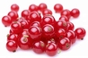 Organic Red Currants