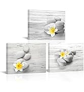 Conipit Gray And Yellow Canvas Wall Art Zen Stone Painting Plumeria Flower Artwork Prints Still L...