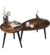 ZHANYUN Nesting Coffee Table Simple Home Decor Modern Round Oval Coffee 2 Piece of Nordic Light L...