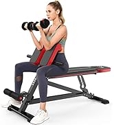 FLYBIRD Adjustable Weight Bench, Multi- Function Full Body Workout Roman Chair with Handle, Abdom...