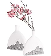 Zhanyun Black and White Ceramic Vase Set for Home Decor Farmhouse Vase Entryway Decor Pampa Grass...