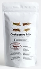 Orthoptera Mix