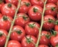 30ct Large Red Cherry Tomato Seeds