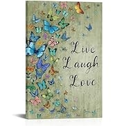 Conipit Vintage Butterfly Canvas Wall Art Colorful Butterfly on Green Background Paintings Art Pr...