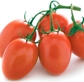 50ct Roma VF Tomato Seeds