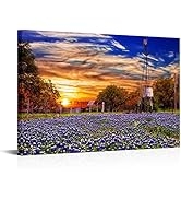 Conipit Texas Landscape Wall Art Texas Wildflowers Canvas Bluebonnets Picture Rustic Windmill Pai...