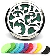 Car Air Freshener Aromatherapy Essential Oil Diffuser Locket Vent Clips Decorative with 10 Refill...