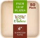 6" Plates (50 Pack)