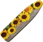 Sunflower Flower