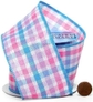 Pink Blue Gingham