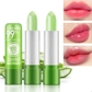 3Pcs Aloe Vera Lipstick