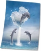 22x30 Bath Hand Pool Towel