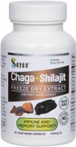 Chaga + Shilajit