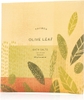 Olive Leaf