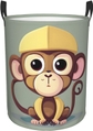 Cute Monkey