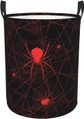 Red Spiderweb Cobweb