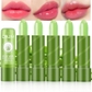 5 Pcs Aloe Vera Lipstick