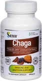 Chaga