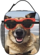 Dog With Glasses