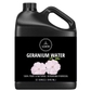 Geranium Water