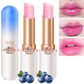 2 Pcs Blueberry Color Changing lipstick