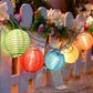 Multicolor Lantern Light