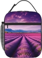 Lavender Fields