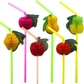 Fruit Straws 100 PCS