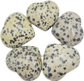 Dalmatian Jasper