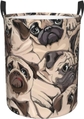 Funny Pug Pattern