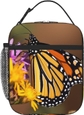 Monarch Butterfly