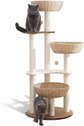 Cat Tree 2022