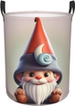 Cute Gnome