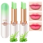 2 pcs Aloe lipstick