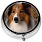 Shetland Sheepdog