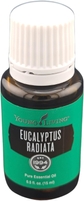 Eucalyptus