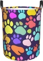 Cute Colorful Dog Paw