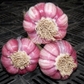 4-5 Jumbo Purple Garlic, 0.5 Lbs Garlic Bulbs for Planting