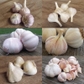 4-5 Jumbo White Garlic, 0.5 Lbs Garlic Bulbs for Planting