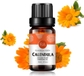 Calendula